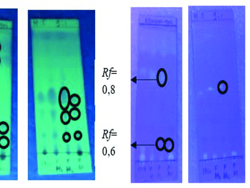薄层色谱实验操作指南